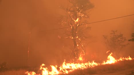 The-Dixie-Fire-Burns-Unchecked-In-A-Forest-In-Northern-California