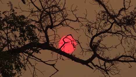 Eine-Dunstige-Sonne-Beleuchtet-Die-Zerstörung-Nach-Dem-Verheerenden-Dixie-Feuer-In-Nordkalifornien