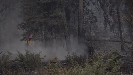 Feuerwehrleute-Wischen-In-Einem-Verkohlten,-Verbrannten-Wald-Nach-Dem-Dixie-Katastrophenbrand-In-Nordkalifornien-Auf