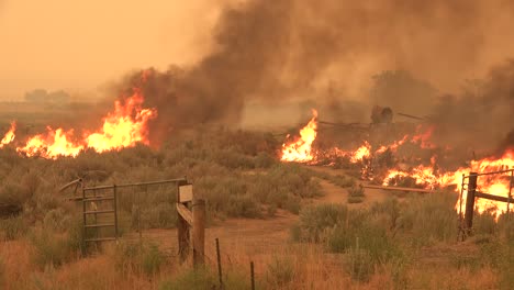 El-Incendio-Dixie-Arde-En-Una-Propiedad-Rural-En-El-Norte-De-California