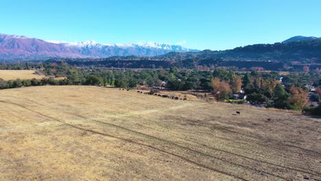 La-Antena-Sobre-Los-Campos-Agrícolas-Y-El-Ganado-Revela-El-Valle-De-Ojai-Y-Las-Montañas-Topatopa-Cubiertas-De-Nieve-En-Invierno
