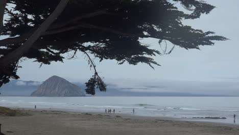 People-Walk-On-A-Beach-Near-Morro-Bay,-California-With-Morro-Rock-In-Distance