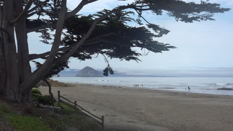 People-Walk-On-A-Beach-Near-Morro-Bay,-California-With-Morro-Rock-In-Distance