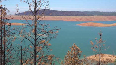 Oroville-Lake-California-During-Extreme-Drought-Conditions-With-Low-Water-Levels-And-Burned-Trees