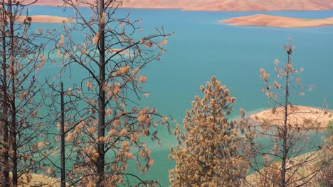 Oroville-Lake-Kalifornien-Während-Extremer-Dürrebedingungen-Mit-Niedrigem-Wasserstand-Und-Verbrannten-Bäumen