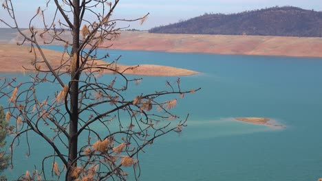Oroville-Lake-Kalifornien-Während-Extremer-Dürrebedingungen-Mit-Niedrigem-Wasserstand-Und-Verbrannten-Bäumen