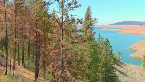 Asombrosa-Antena-Sobre-El-Lago-Oroville-De-California-Asolado-Por-La-Sequía-Con-Bajos-Niveles-De-Agua,-Costa-En-Retroceso-Y-árboles-Y-Bosques-Quemados