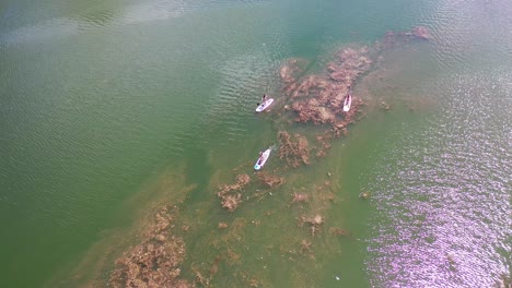 Aerial-View-Over-Paddleboarders-On-A-River-With-Vegetation-Beneath,-Colorado-River,-Austin-Texas