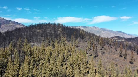 Antena-Sobre-El-Bosque-Destruido-Quemado-Y-La-Destrucción-Del-Desierto-Del-Fuego-Caldor-Cerca-Del-Lago-Tahoe,-California