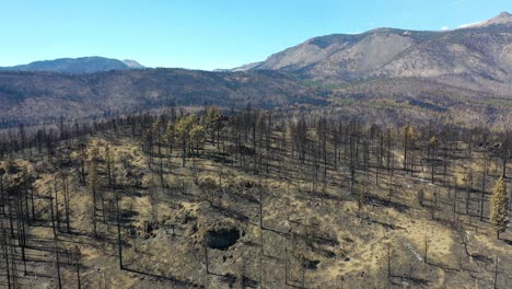 Antena-Sobre-El-Bosque-Destruido-Quemado-Y-La-Destrucción-Del-Desierto-Del-Fuego-Caldor-Cerca-Del-Lago-Tahoe,-California