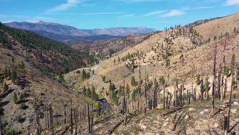 Antena-Sobre-Bosques-Quemados-Con-Vegetación-Que-Regresa-Cerca-Del-Lago-Tahoe,-California