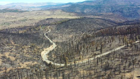 Antena-Sobre-árboles-Forestales-Destruidos-Quemados-Y-Destrucción-Del-Desierto-Del-Fuego-Caldor-Cerca-Del-Lago-Tahoe,-California