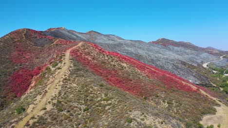 Hills-Of-Red-And-Black-In-Southern-California-Covered-In-Ash-And-Fire-Retardant-In-The-Aftermath-Of-A-Brush-Fire