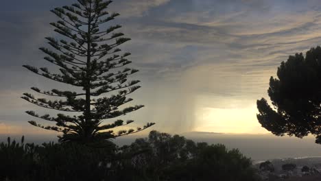Lightning-Strikes-Off-The-Coast-Of-California-During-An-Electrical-Storm-With-Norfolk-Pine-Tree-Foreground