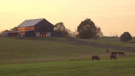 Establishing-Shot-Of-A-Rural-Kentucky-Thoroughbred-Horse-Farm-And-Barn-In-Sunset-Light