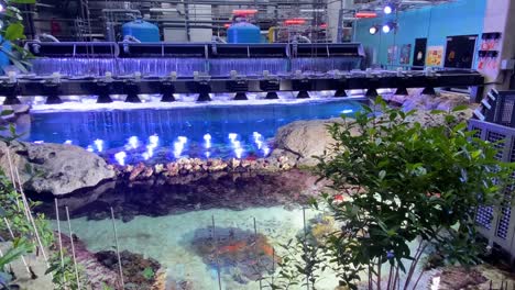 Machinery-Dumps-Water-Into-Tanks-To-Simulate-A-Coral-Reef-At-The-Georgia-Aquarium-In-Atlanta