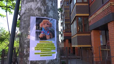 A-Poster-For-A-Missing-Cute-Lost-Puppy-Dog-Amidst-The-Destruction-Of-Irpin,-Ukraine-Following-The-Russian-Occupation