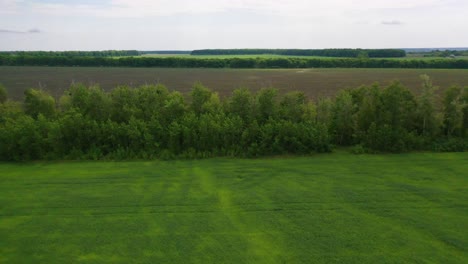 Luftaufnahmen-über-Landwirtschaftlichen-Feldern,-Gras-Und-Landwirtschaftlichen-Nutzpflanzen,-Die-In-Der-Ukraine-Wachsen,-Deuten-Auf-Eine-Ukrainische-Landschaft-Hin