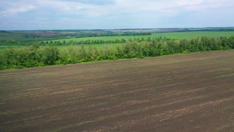 Hohe-Luft-über-Grünen-Landwirtschaftlichen-Feldern,-Gras-Und-Landwirtschaftlichen-Kulturen,-Die-In-Der-Ukraine-Wachsen,-Deutet-Auf-Eine-Ukrainische-Landschaft-Hin