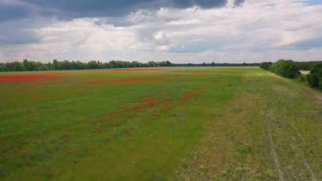 Eine-Impressionistische-Antenne-über-Ukrainischen-Feldern-Mit-Wachsenden-Wildblumen-Deutet-Auf-Die-Ukrainische-Landwirtschaft-Und-Landschaft-Hin