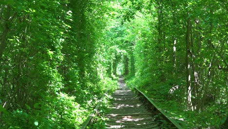 Establishing-Shot-Of-The-Tunnel-Of-Love-Rail-Line-Through-Green-Vegetation-In-Central-Ukraine
