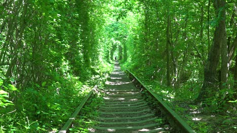 Toma-De-Establecimiento-De-La-Línea-Ferroviaria-Del-Túnel-Del-Amor-A-Través-De-La-Vegetación-Verde-En-El-Centro-De-Ucrania