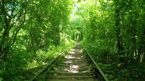Toma-Aérea-De-La-Línea-Ferroviaria-Del-Túnel-Del-Amor-A-Través-De-La-Vegetación-Verde-En-El-Centro-De-Ucrania