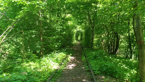Luftperspektive-Des-Tunnels-Der-Liebesbahnlinie-Durch-Grüne-Vegetation-In-Der-Zentralukraine