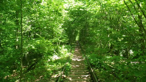 Aerial-Perspective-Of-The-Tunnel-Of-Love-Rail-Line-Through-Green-Vegetation-In-Central-Ukraine