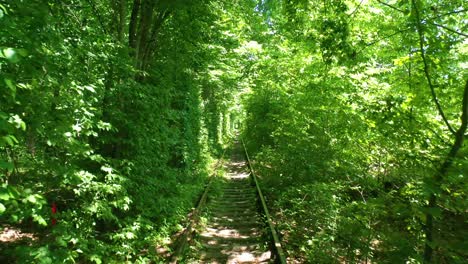 Luftperspektive-Des-Tunnels-Der-Liebesbahnlinie-Durch-Grüne-Vegetation-In-Der-Zentralukraine