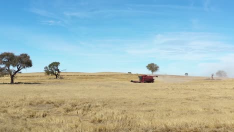 A-Farming-Combine-Cuts-Through-A-Short-Field-In-Parkes,-New-South-Wales,-Australia