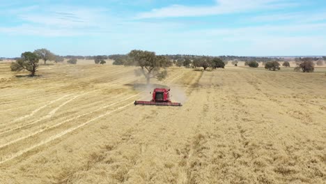 An-Excellent-Aerial-Shot-Of-A-Farming-Combine-Cutting-Through-A-Field-In-Parkes,-New-South-Wales,-Australia