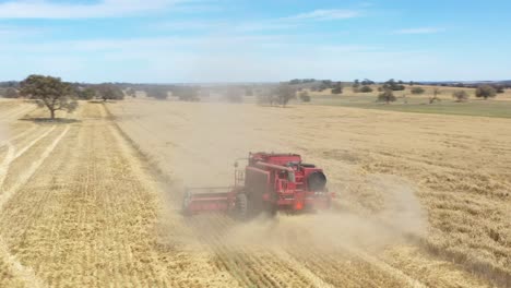 An-Excellent-360-Degree-Aerial-Shot-Of-A-Farming-Combine-Raising-Dust-And-Cutting-Through-A-Field-In-Parkes,-New-South-Wales,-Australia