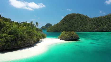 Excellent-Shot-Of-Palm-Trees-And-Other-Thick-Greenery-Lining-The-Beaches-Of-The-Wayag-Islands,-Raja-Ampat,-Indonesia