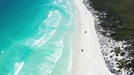 Excellent-Aerial-Shot-Of-Cars-And-Trucks-Driving-On-The-White-Sands-Of-Wharton-Bay-As-Clear-Blue-Water-Laps-The-Shore-In-Esperance,-Australia