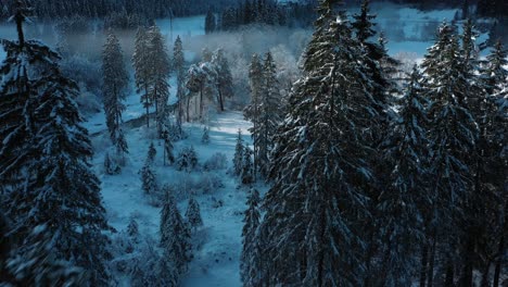 Ausgezeichnete-Luftaufnahme-Eines-Winterlichen-Waldes-In-Der-Schweiz