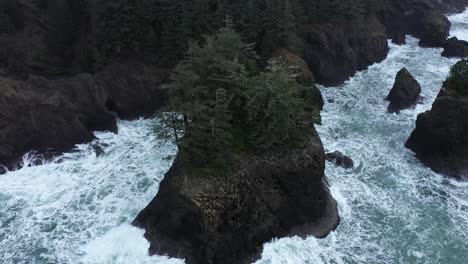 Excellent-Aerial-Shot-Of-Pine-Trees-On-A-Large-Rock-Off-The-Coast-Of-Oregon