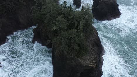 Ausgezeichnete-Luftaufnahme-Von-Kiefern-Auf-Einem-Großen-Felsen-Vor-Der-Küste-Von-Oregon