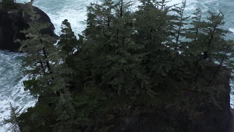 Excellent-Aerial-Shot-Of-Pine-Trees-On-Large-Rocks-Off-The-Coast-Of-Oregon