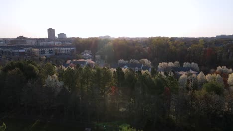 Excellent-Aerial-View-Of-Tree-Lined-Streets-In-Bethesda,-Maryland