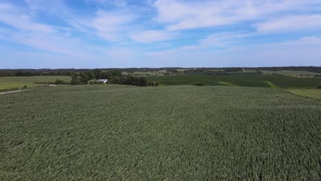 Video-De-Drones-Aéreos-Daños-Causados-Por-El-Viento-En-Cultivos-Agrícolas-Rurales-Y-Agrarios-Y-Tierras-De-Cultivo-En-El-Corazón-Del-Medio-Oeste-De-Iowa