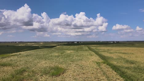 Luftdrohnenvideo-Windschäden-An-Ländlichen,-Landwirtschaftlichen-Nutzpflanzen-Und-Ackerland-Im-Mittleren-Westen-Von-Iowa