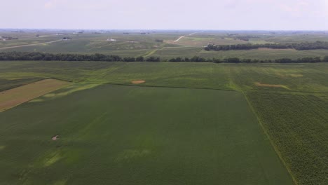 Drohnenvideo-Aus-Der-Luft-Von-Reichen,-Grünen,-Ländlichen,-Landwirtschaftlichen-Ackerland,-Mais-Und-Bohnen-Im-Mittleren-Westen-Von-Iowa
