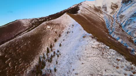 Ausgezeichnete-Luftaufnahme-Einer-Braunen,-Winterlichen-Bergkette-Mit-Pinien
