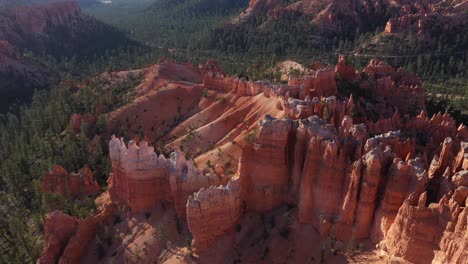 Excellent-Aerial-Shot-Of-Pine-Trees-Dotting-Bryce-Canyon,-Utah
