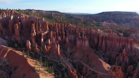 Excellent-Aerial-Shot-Of-Hoodoos-And-Pine-Trees-In-Bryce-Canyon,-Utah