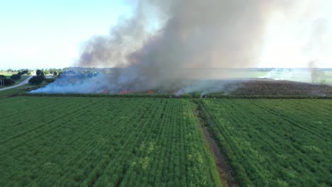 Excellent-Aerial-Shot-Of-A-Sugar-Cane-Field-Burning-In-Florida