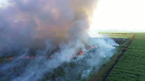 Excellent-Aerial-Shot-Of-A-Sugar-Cane-Field-Burning-In-Florida