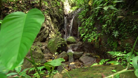 A-Waterfall-Runs-Into-A-Brook-In-A-Costa-Rican-Rainforest
