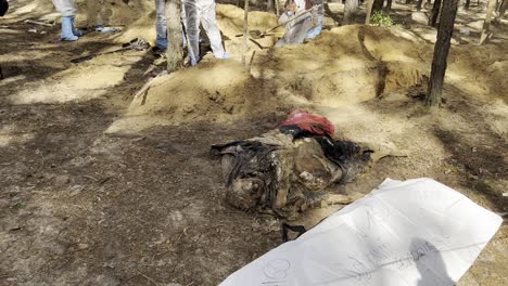 Ermittler-Von-Kriegsverbrechen-Exhumieren-Leichen-Und-Dokumentieren-Beweise-Aus-Massengräbern-In-Izium,-Ukraine,-Nach-Der-Befreiung-Der-Region-Von-Der-Russischen-Besatzung